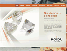 Tablet Screenshot of koiduholdings.com